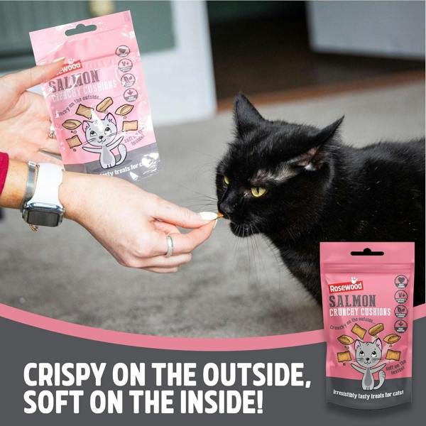 Rosewood Salmon Crunchy Cushions Cat Treats 60g