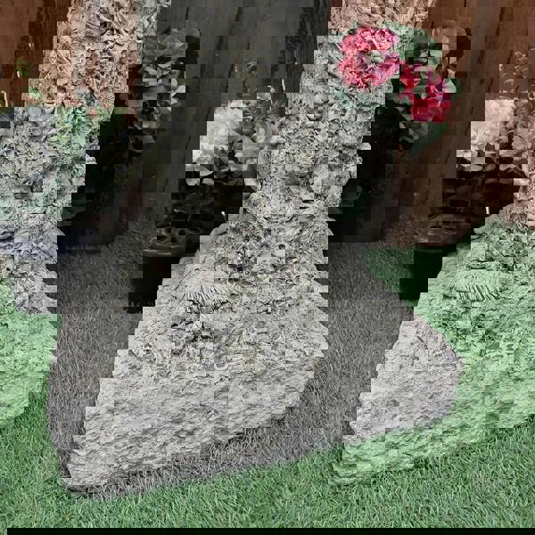 Stone Cast Detailed Jurassic Birdbath