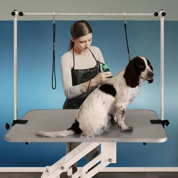 Monstershop White Hydraulic Grooming Table - Grey Table Top