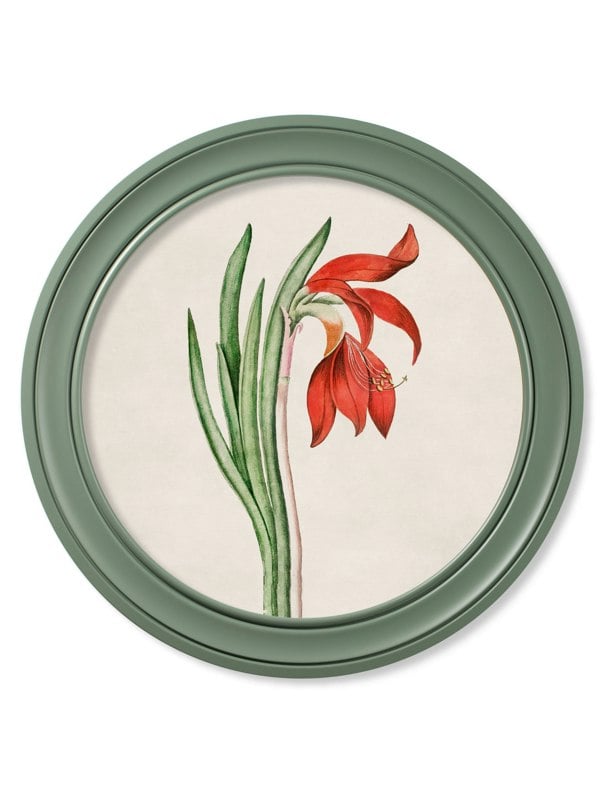 Exceptional Art c.1780 Flowering Plants Round Frame Green