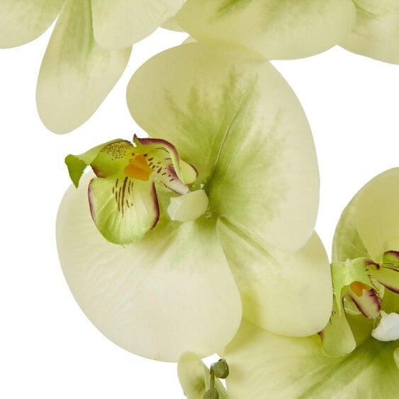 Wyld Haus Artificial Plant Large Green Orchid In Ceramic Pot