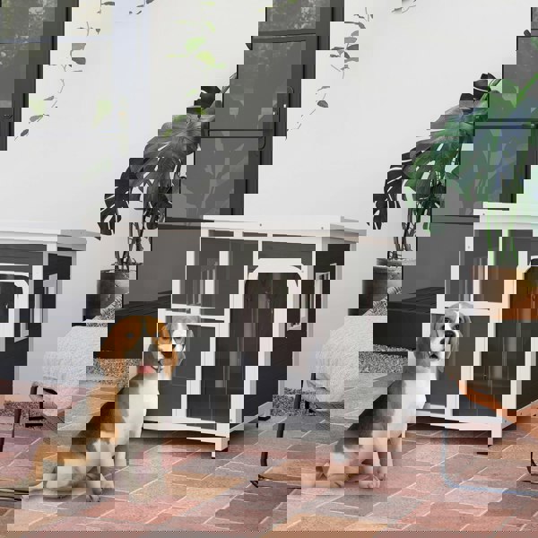 D02-200V00LG