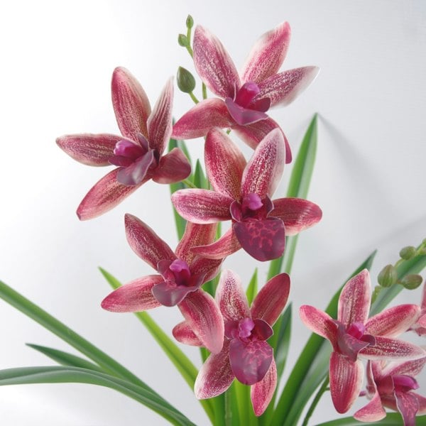 Leaf 50cm Dark Pink Artificial Orchid in Ceramic Planter