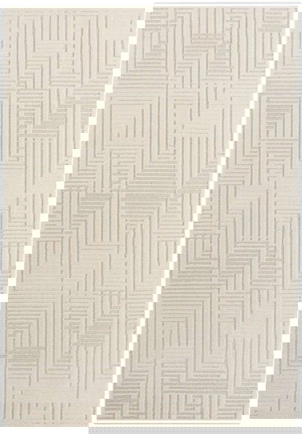 Soft Pile Rug with High-Low Texture