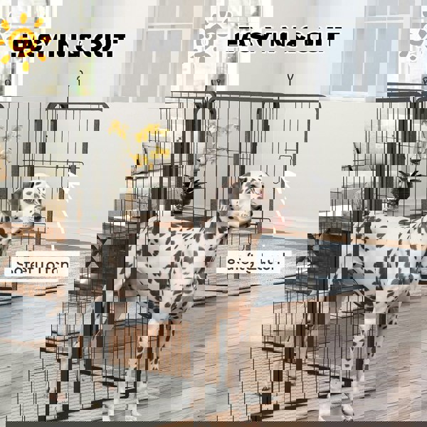 D06-251V02BK