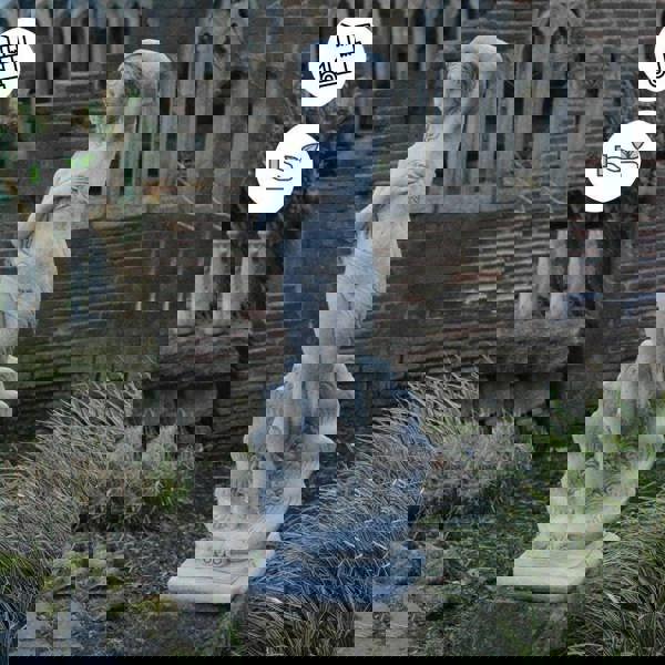 Large Lady Statue standing in Shell Conservatory Statue