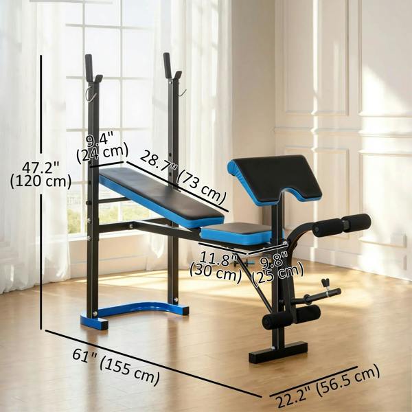 Adjustable weight bench with black frame and blue-edged pads, adjustable back support