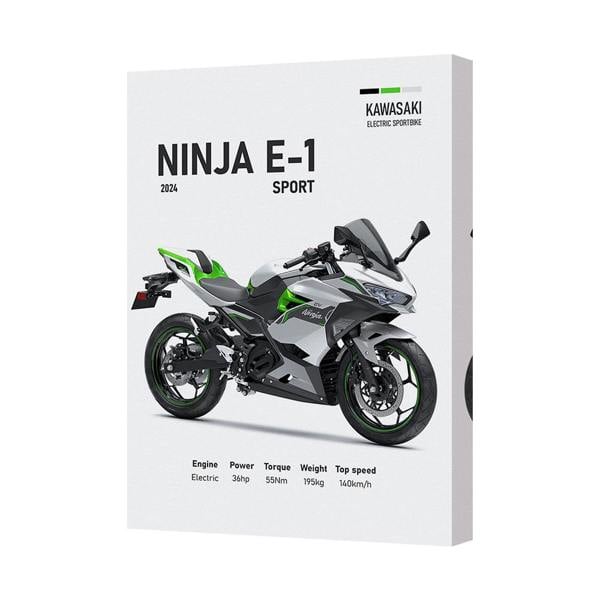 Benjamin Tate Design Kawasaki Ninja E1 Sport Motorcycle Canvas Print Wall Art