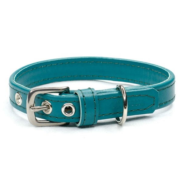 teal dog collar - Petiquette Collars