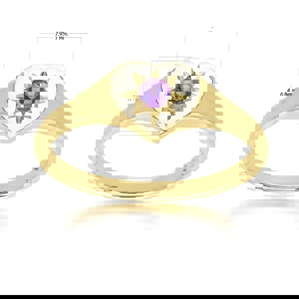 135R2055029 ECFEW™ 'The Liberator' Amethyst Heart Ring in 9ct Yellow Gold Dimensions