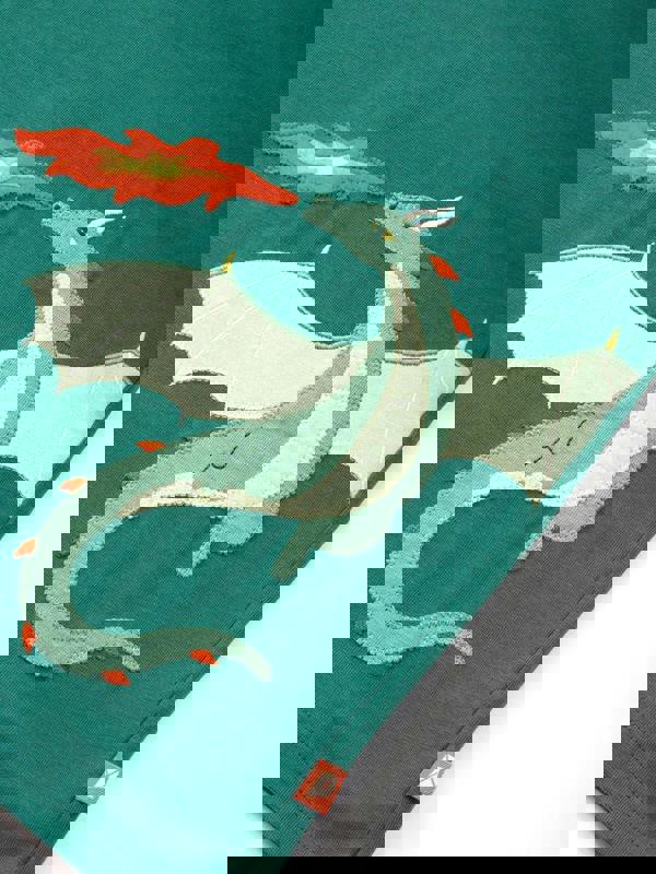 Kite Boys Organic Dragon's Roar T-Shirt