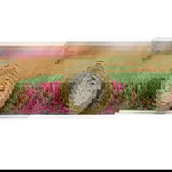 JVL Eco-Friendly Latex Backed Coir Entrance Doormat, 45x75cm - Flowers