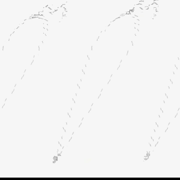 Swarovski Ariana Grande X Swarovski Capsule White Crystal Heart Pendant Necklace 5720852