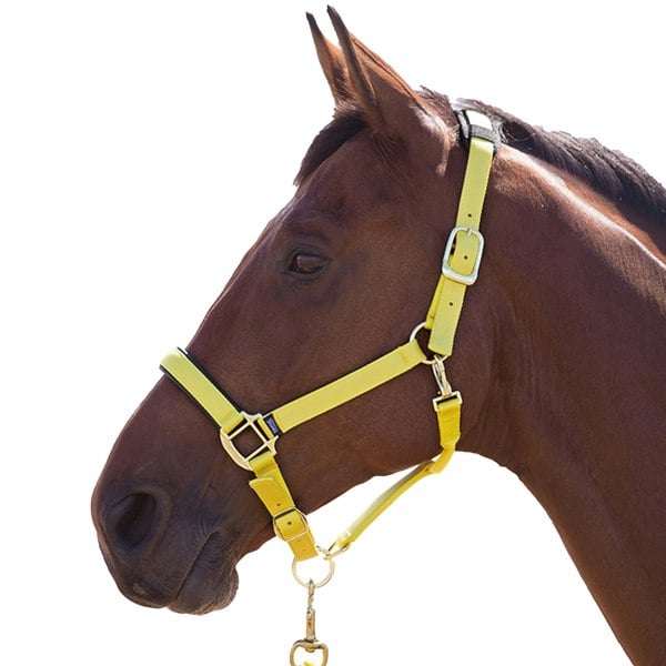 Shires Topaz Nylon Horse Headcollar - Yellow