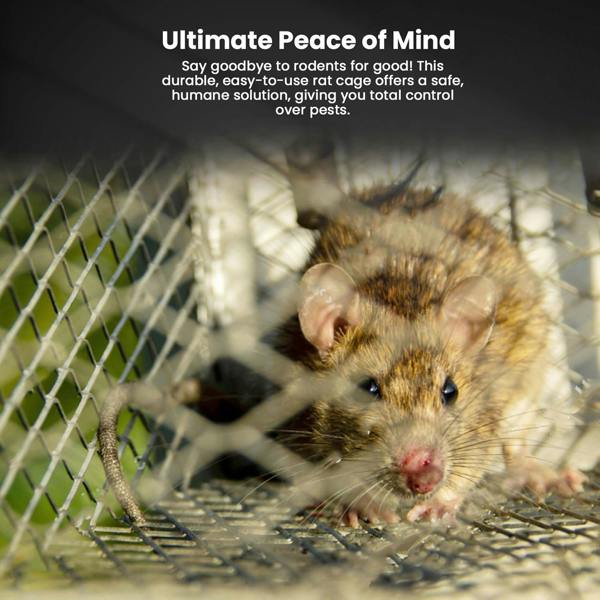 Pest Guard Humane Rat Trap Cage Live Rat Mouse Traps Catch & Release Rats Mice Rodents Pests Reusable Squirrel Cage