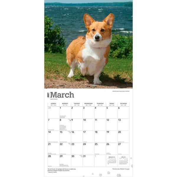 Pembroke Welsh Corgis Calendar 2027, Wall Calendars, Month To View, Dogs, Gift
