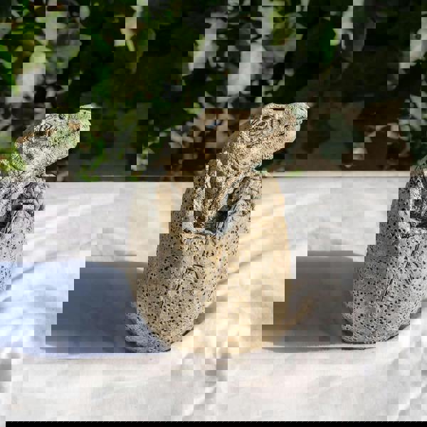 Small Stone Cast Velociraptor Garden Sculpture Dinosaur Animal Statue