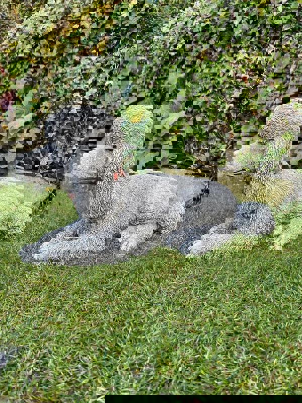 Stunning Stone Cast Laying Poodle Statue