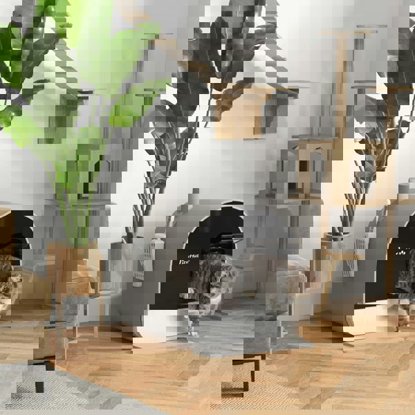 D31-050V00LG