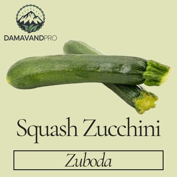 Zuboda Zucchini Seeds