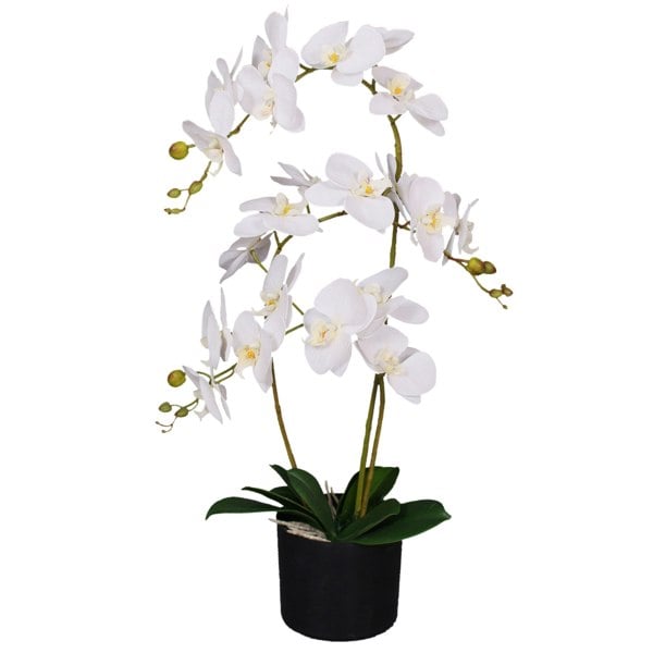 Leaf 65cm Artificial Luxury Artificial Orchid - 3 Stems - Soft White Plant