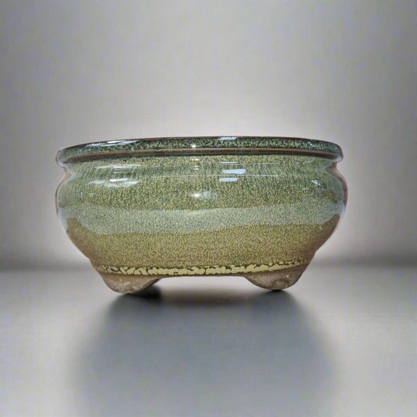 16cm Glazed Bonsai Pot | Oval | 16cm x 13cm x 6cm | Green - Yorkshire Bonsai