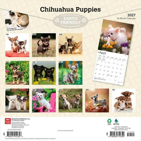 Chihuahua Puppies Calendar 2027, Wall Calendars, Month To View, Dogs, Gift