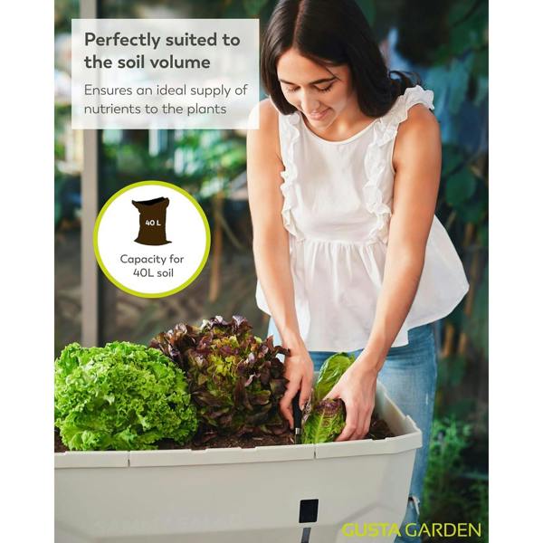 SAMMY SALAD raised bed for salad growing