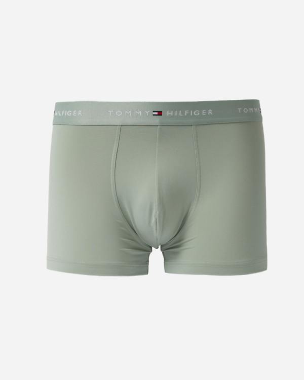 Tommy Hilfiger DTM Waistband Mens Trunks in Mint  green