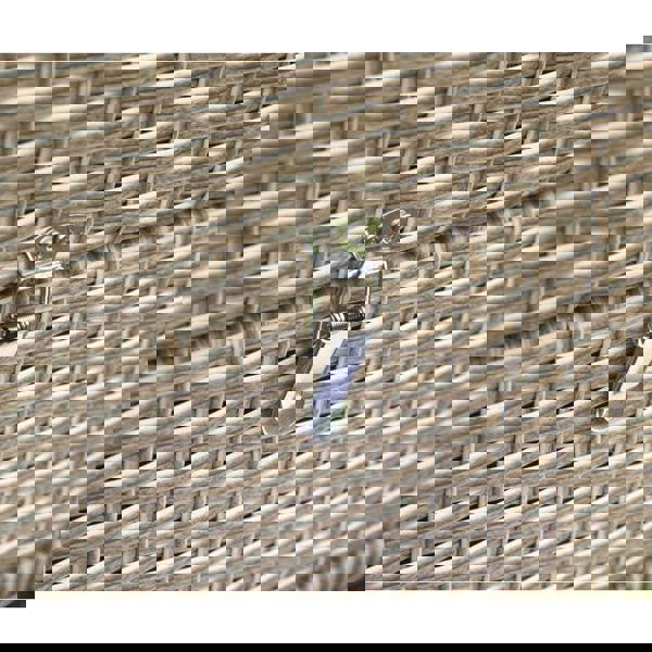 Amiens Rattan Twin Sun Lounger Bed Latte The Garden Furniture Shop