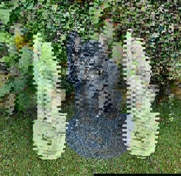 Stunning Small Ganesh Garden Statue