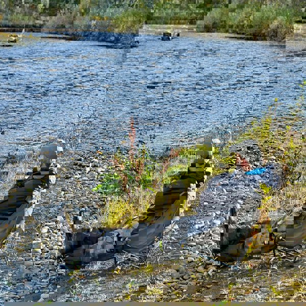 Alite by Grand Trunk Mayfly Chair mayfly-ls-07