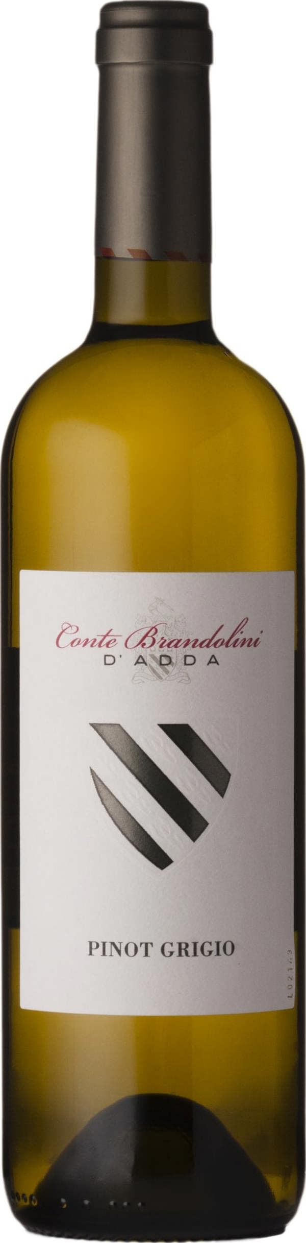Brandolini Pinot Grigio DOC Friuli 2024 75cl