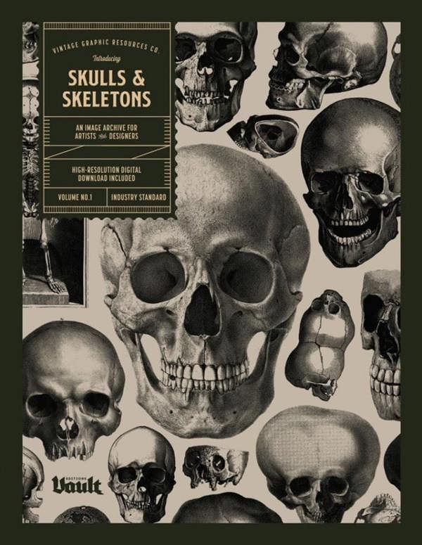 Skull and Skeletons