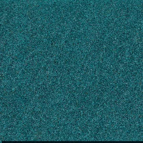 My Rug Teal