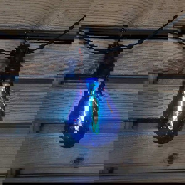 Samuel Alexander 4.5m Set of 10 Connectable Festoon Bulb Lights in Multi-Coloured with Timer Function