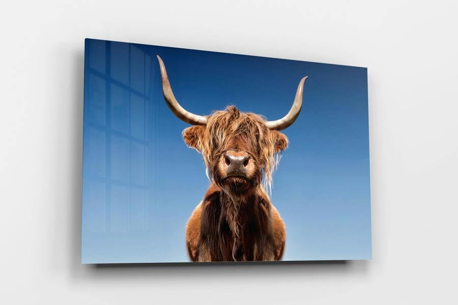 Fernlight Gallery Pride of The Highlands