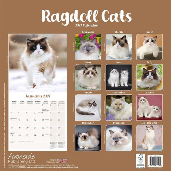 Ragdoll Cats Calendar 2027, Wall Calendars, Month To View, Cats, Gift