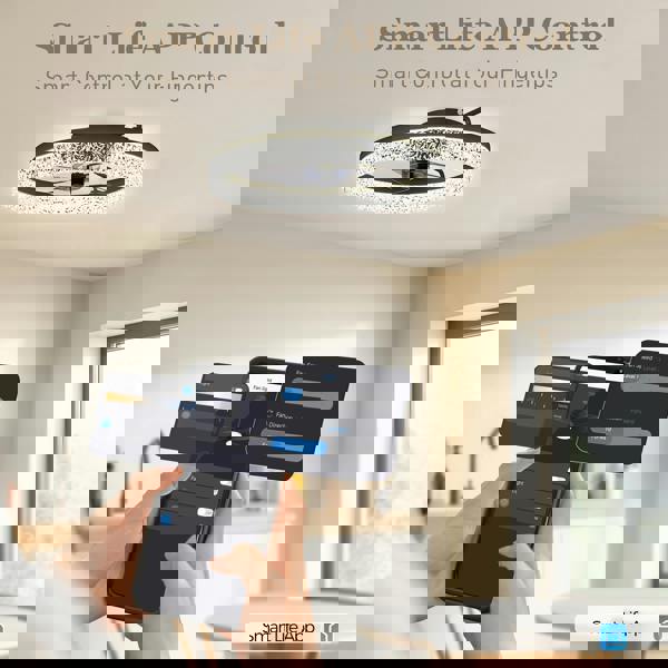 Ceiling Fan With Light