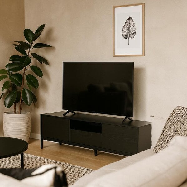Wyld Haus El Paso Black Wooden TV Unit 2 Doors 1 Drawer Metal Base