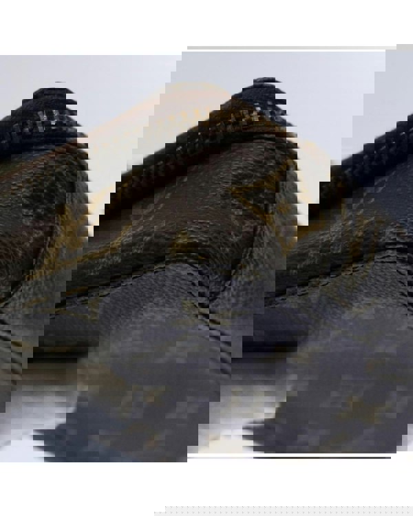 157545652.jpg