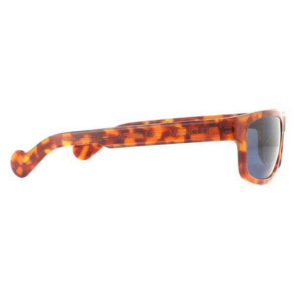 Moncler Sunglasses ML0114 53V Havana Blue