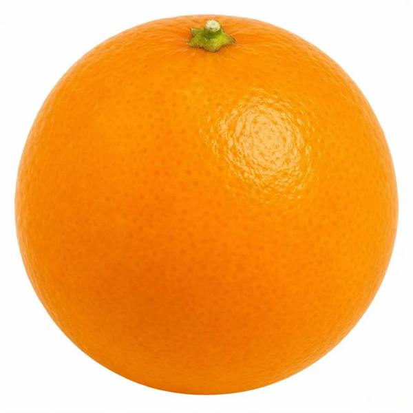 5L Calamondin Tree – Indoor & Outdoor Citrus in Decorative Pot Plants By Post
