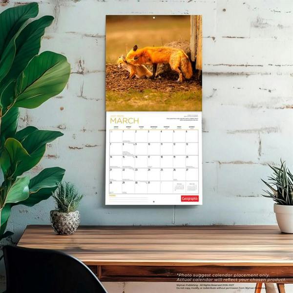 Foxes Calendar 2027, Wall Calendars, Month To View, Animals, Gift