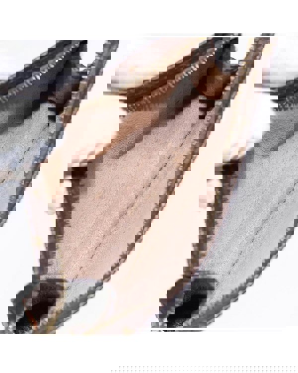 193991096.jpg