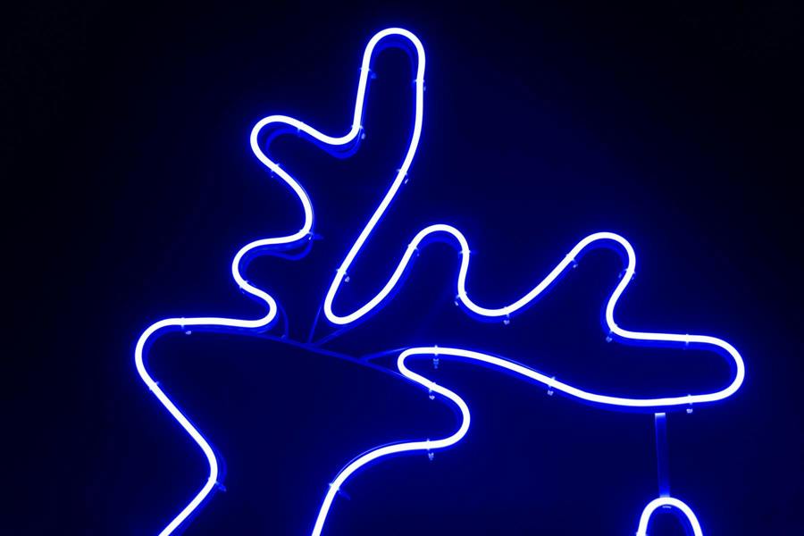 Walking Reindeer Neon Effect Rope Light Silhouette Blue LEDs Outdoor Christmas Display image 5