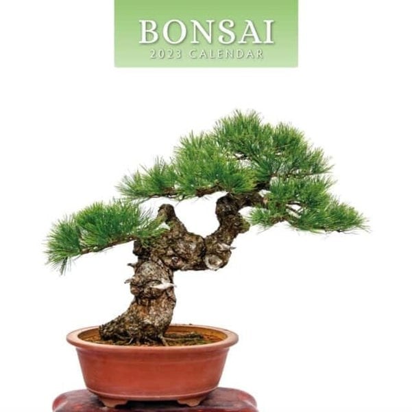 Yorkshire Bonsai Bonsai 2023 Square Wall Calendar | Red Robin Calendars | ISBN: 9781804420171