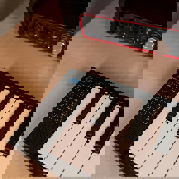 Carry-On 88 Key Folding Piano - Black#Colour_Black