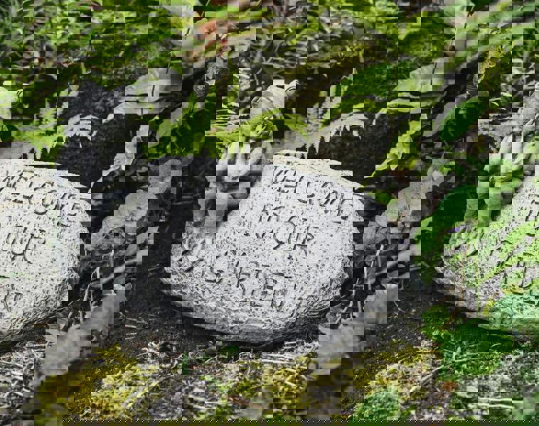 Welcoming Frog Stone Cast Garden Ornament