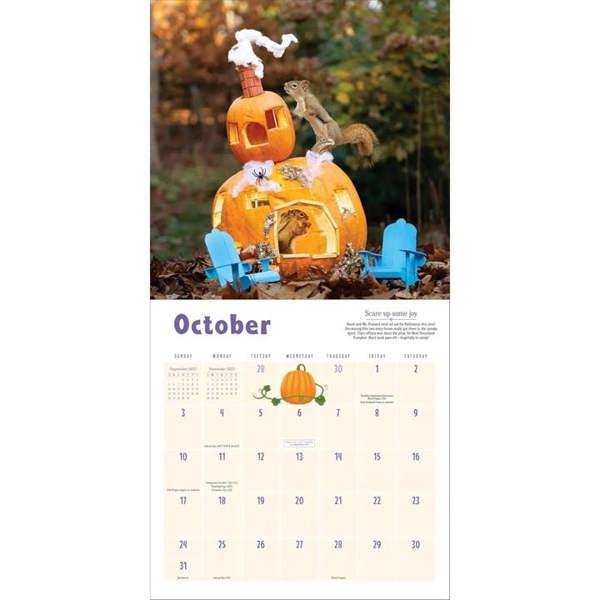 The Secret Life Of Squirrels Calendar 2027, Wall Calendars, Month To View, Humour, Gift